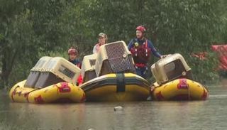 لحظة إجلاء الكلاب 