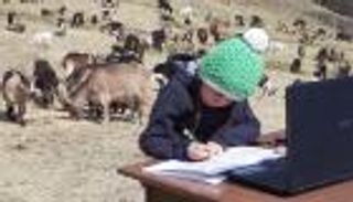 بالصور.. الدراسة في ظل كورونا بين الماعز وسط الجبال