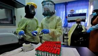  فحوصات كورونا بفلسطين 