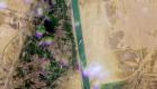 الوضع في قناة السويس.. سبب جديد يعرقل تعويم "السفينة الجانحة"