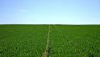 بفضل غزارة الأمطار.. توقعات بموسم فلاحي جيد في المغرب