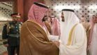 الإمارات تثمن مبادرة السعودية حول "الشرق الأوسط الأخضر"