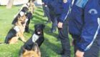 بسبب زيارة أوباما.. أردوغان يلاحق خبراء متفجرات 