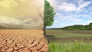 جهود إماراتية حثيثة لمواجهة التغير المناخي