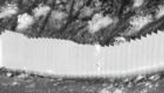 جريمة مروعة.. إلقاء طفلتين من أعلى جدار عند الحدود الأمريكية المكسيكية