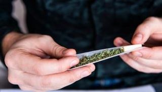 سوق الماريجوانا سيؤدي إلى توفير ما يصل إلى 60 ألف وظيفة جديدة