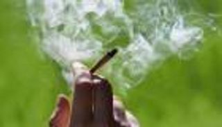 "الحشيش" في نيويورك.. "مباح" بالأماكن العامة