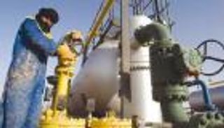 الاستثمار في البتروكيماويات.. ورقة الجزائر لـ"اصطياد" شركات عملاقة