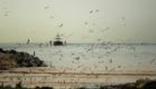 العثور على جثث 3 لبنانيات على الشاطئ السوري