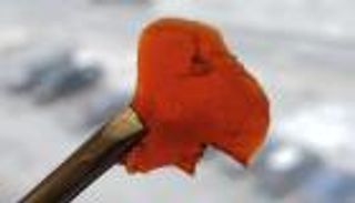 بلاستيك أنظف من بقايا استهلاك الأسماك