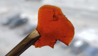  الباحثون صنعوا مادة تشبه البولي يوريثين من زيت السمك