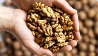 الجوز له العديد من الفوائد الصحية