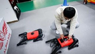 ألفا دوج - أسرع كلب في العالم