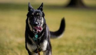 الحياة في البيت الأبيض ترهق 