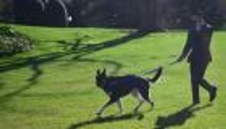 طوارئ في البيت الأبيض.. تدريبات خاصة لكلب بايدن بعد حادثي عض