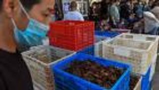 تحذير عالمي من بيع "الثدييات البرية الحية": مسؤولة عن 70% من الأمراض