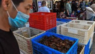 منظمة الصحة العالمية تحث على وقف بيع الثدييات البرية الحية في أسواق الغذاء