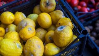 هدر الأغذية تحول إلى عادة