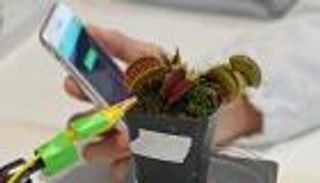 بعد نجاح تكنولوجيا السبانخ.. العلماء يحولون النباتات إلى روبوتات