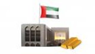 قوة اقتصاد الإمارات.. رقم قياسي لأصول المصرف المركزي الأجنبية 