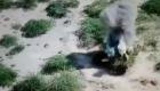 خنادق الحوثي "قبور" لعناصره بالحديدة.. ونزيف بـ4 محافظات