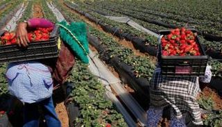 المملكة شهدت تساقطات مهمة