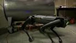 صور.. كلب بوليسي "آلي" يكافح المخدرات مع الشرطة الهولندية