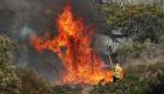 صور.. حريق يلتهم أشهر جبال جنوب أفريقيا