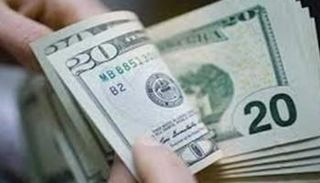 استقرار أسعار الدولار في مصر