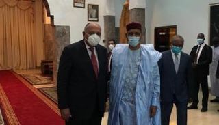 وزير الخارجية المصري ورئيس النيجر خلال اللقاء