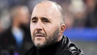 جمال بلماضي، مدرب منتخب الجزائر