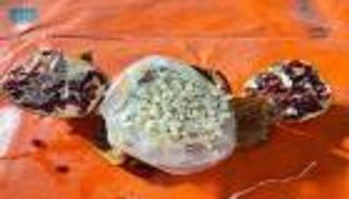 شحنات رمان بالمخدرات.. السعودية تمنع دخول الخضراوات والفواكه اللبنانية للبلاد