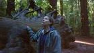 "نومادلاند" يحصد جائزة أفضل فيلم في "سبيريت اواردز"