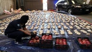 شحنة الرمان المضبوطة في السعودية