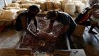 دبي وجهة تجارة الكاكاو العالمية