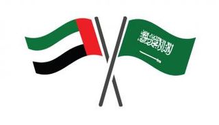 علما الإمارات والسعودية