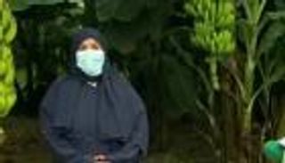 قصة نجاح ملهمة.. سعودية تقود المملكة للمنافسة العالمية بزراعة الموز