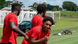 فريق تورونتو الأمريكي