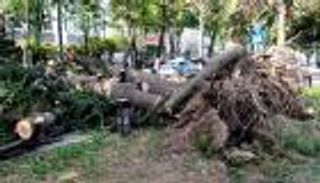 عواصف عاتية تقتل 11 في الصين