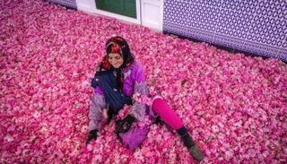 جانيات الورود في المغرب