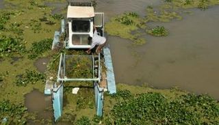 التلوث يهدد أهوار ما بين النهرين التاريخية في العراق