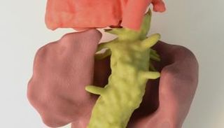 طباعة ثلاثية الأبعاد لورم