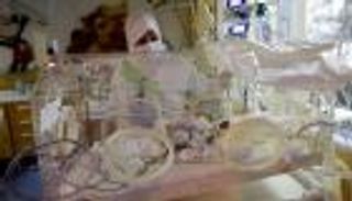 صور.. طبيب مغربي يكشف تطورات الحالة الصحية للتوائم الـ9