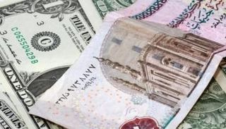 استقرار سعر الدولار في مصر