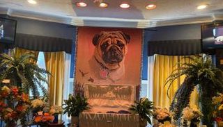 جنازة الكلب دكستر