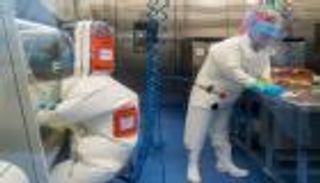 دعوات جديدة لمزيد من التحقيقات حول "أصل كورونا"