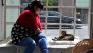 هل تحبون القطط؟.. مطلوب "مربيات"