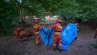 3 قتلى و27 مصابا في زلزال ضرب جنوب غرب الصين