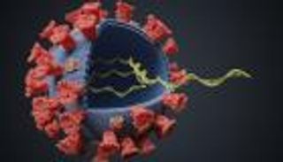 اكتشاف سلاح جديد للجسم ضد كورونا.. بروتين الشفاء