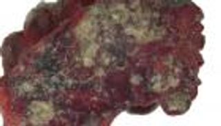 فيديو.. العثور على بلورة نيزكية شكلها أول اختبار لقنبلة نووية